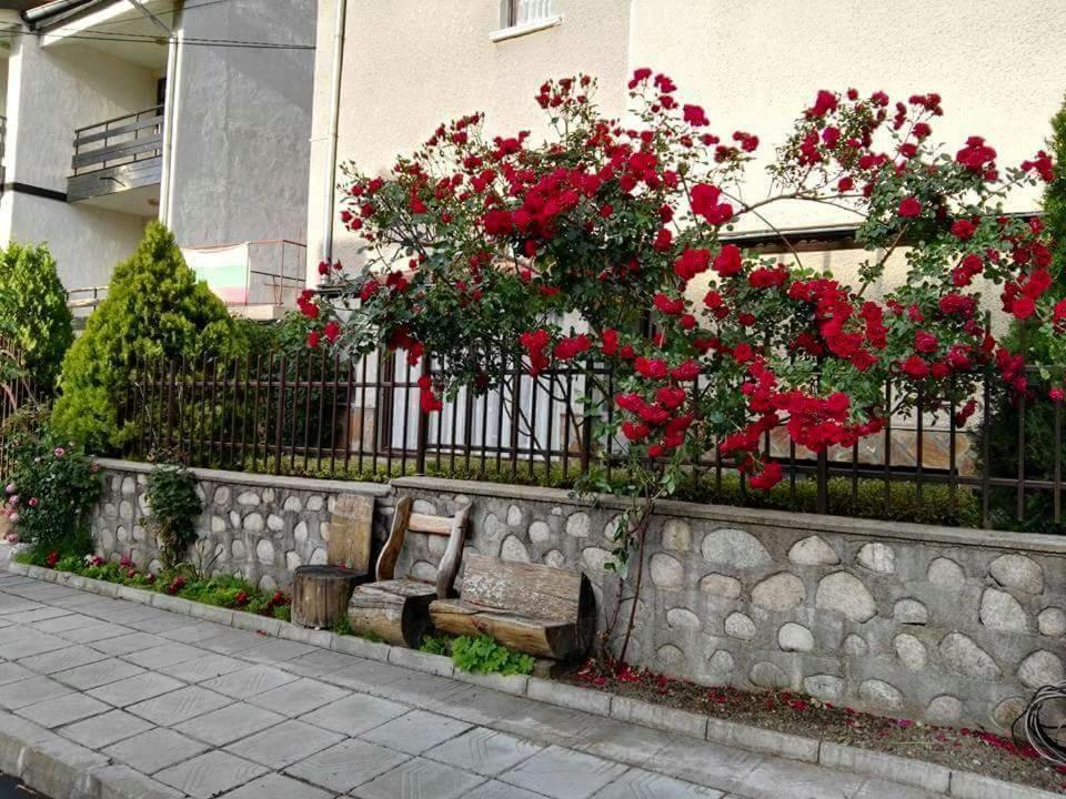 Discovery Apartment Bansko Exterior foto
